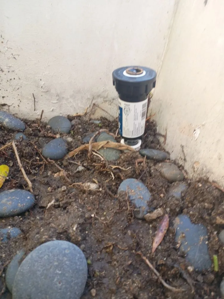 Professional landscape design in Los Angeles, CA by Sprinkler And Drip Line