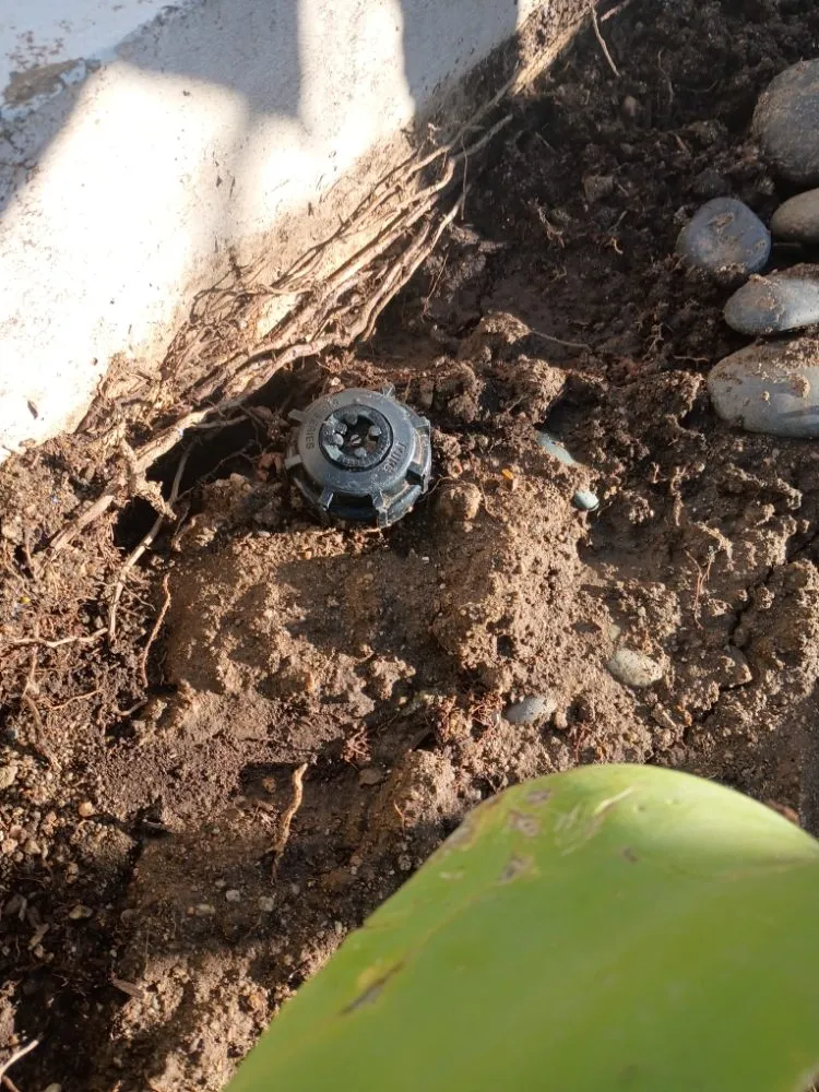 Local lawn mowing service in Los Angeles, CA - Sprinkler And Drip Line