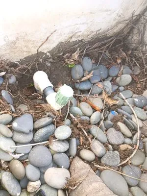 Sprinkler And Drip Line Logo