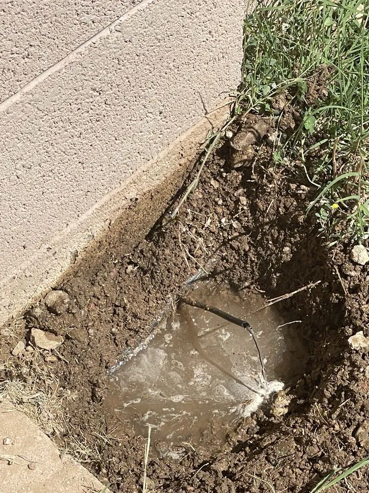 Trusted yard cleanup service for homes across Gilbert, AZ - Sprinkler Doctors