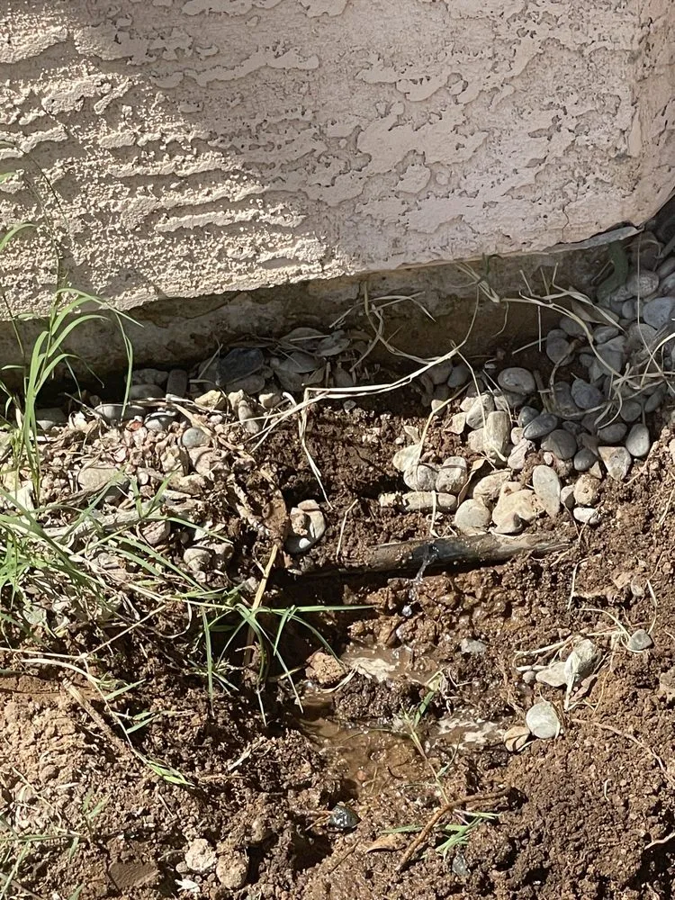 Trusted landscaping services near you across Gilbert, AZ - Sprinkler Doctors