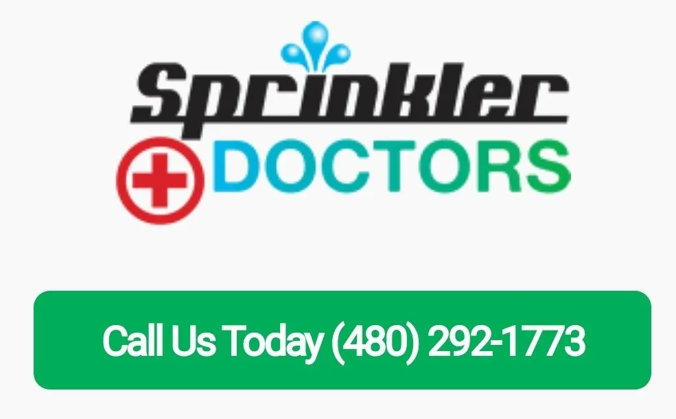 Professional landscape design for year-round maintenance across Gilbert, AZ - Sprinkler Doctors