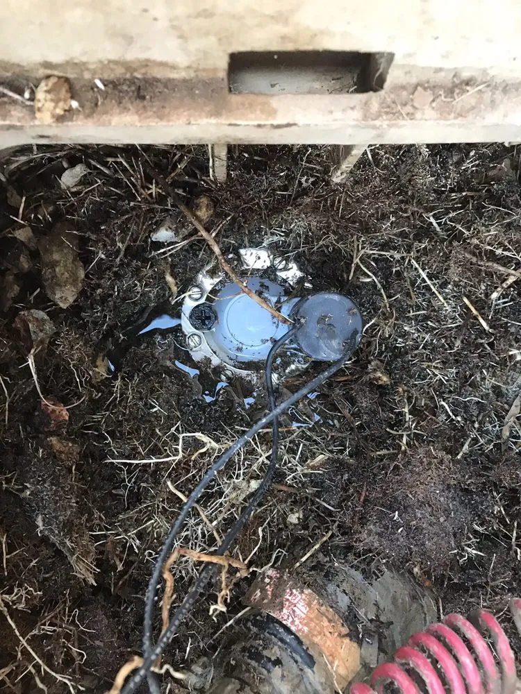 Custom yard maintenance in Gilbert, AZ - Sprinkler Doctors