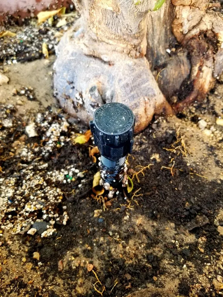 Trusted garden landscaping for outdoor upgrades in Gilbert, AZ by Sprinkler Doctors