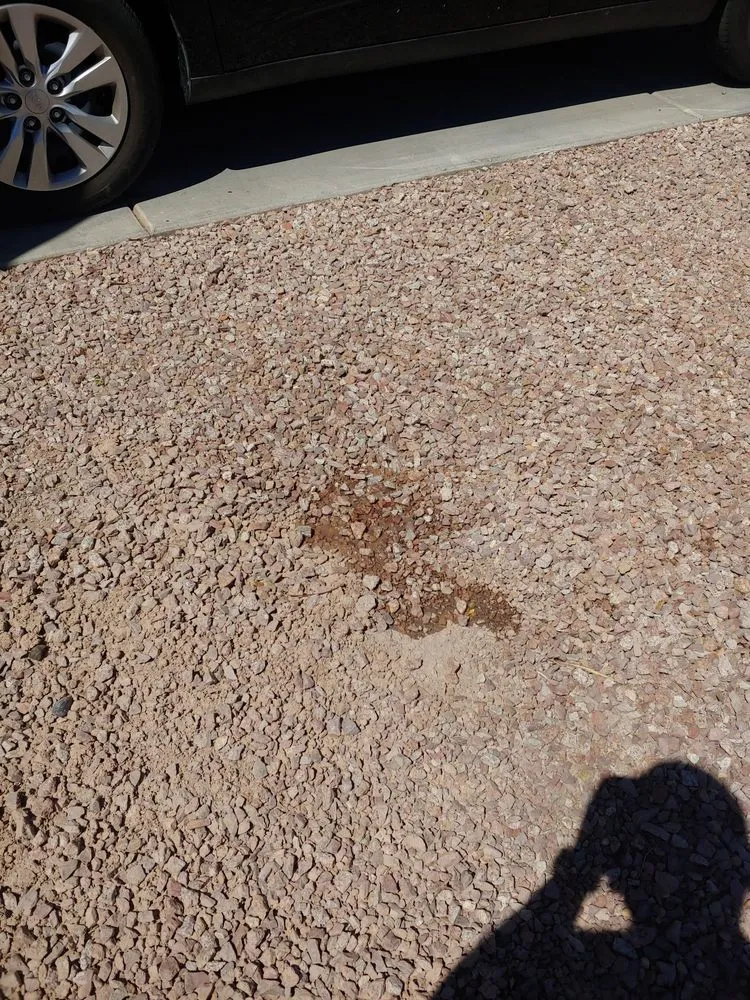 Local outdoor landscaping for beautiful yards across Glendale, AZ - Sprinkler Doctors