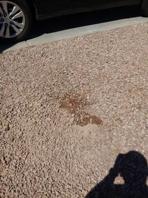 Sprinkler Doctors Logo