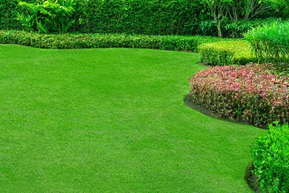 Trusted landscape installation with custom design across Los Angeles, CA - Sprinkler Fix Landscaping & Irrigation