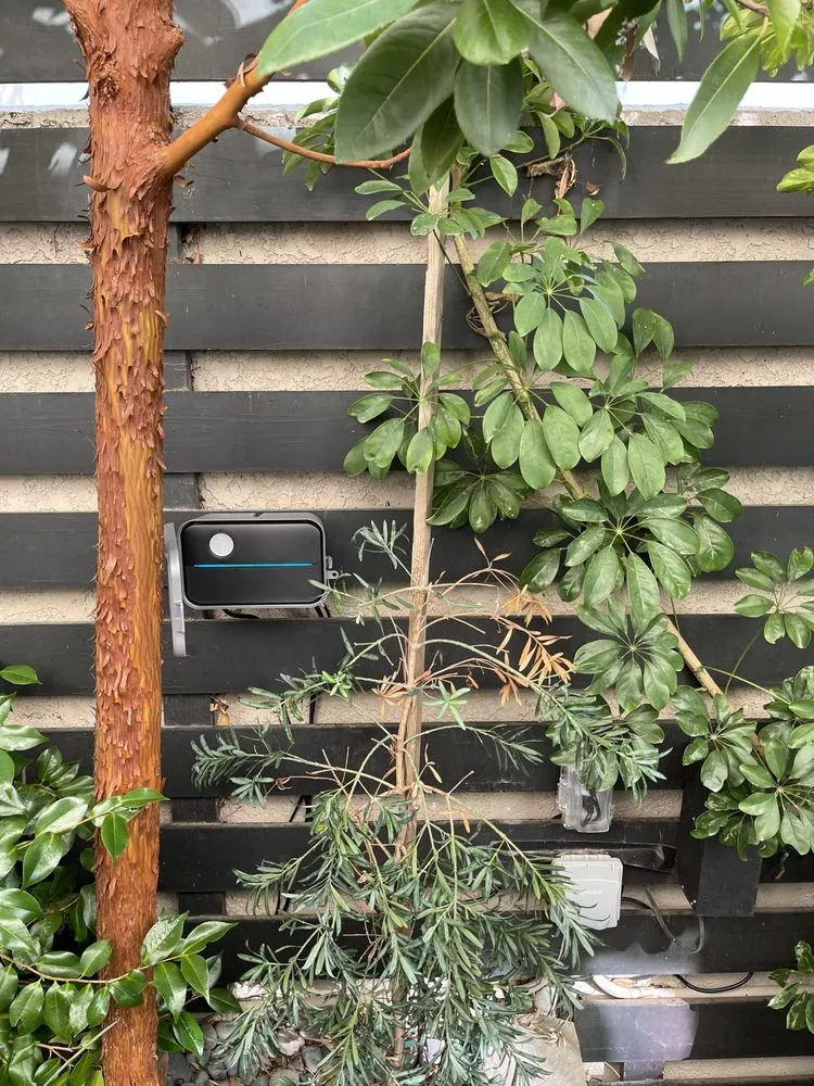 Trusted residential landscaping experts serving Los Angeles, CA - Sprinkler Fix Landscaping & Irrigation