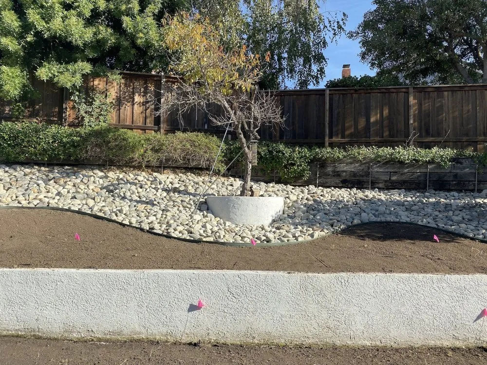 Top-rated lawn mowing service in Los Angeles, CA by Sprinkler Fix Landscaping & Irrigation