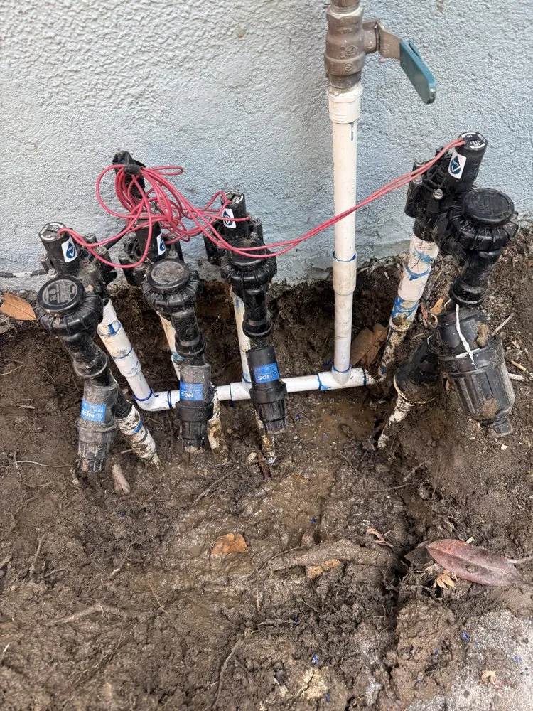 Trusted landscape design for beautiful yards in Los Angeles, CA by Sprinkler Guys