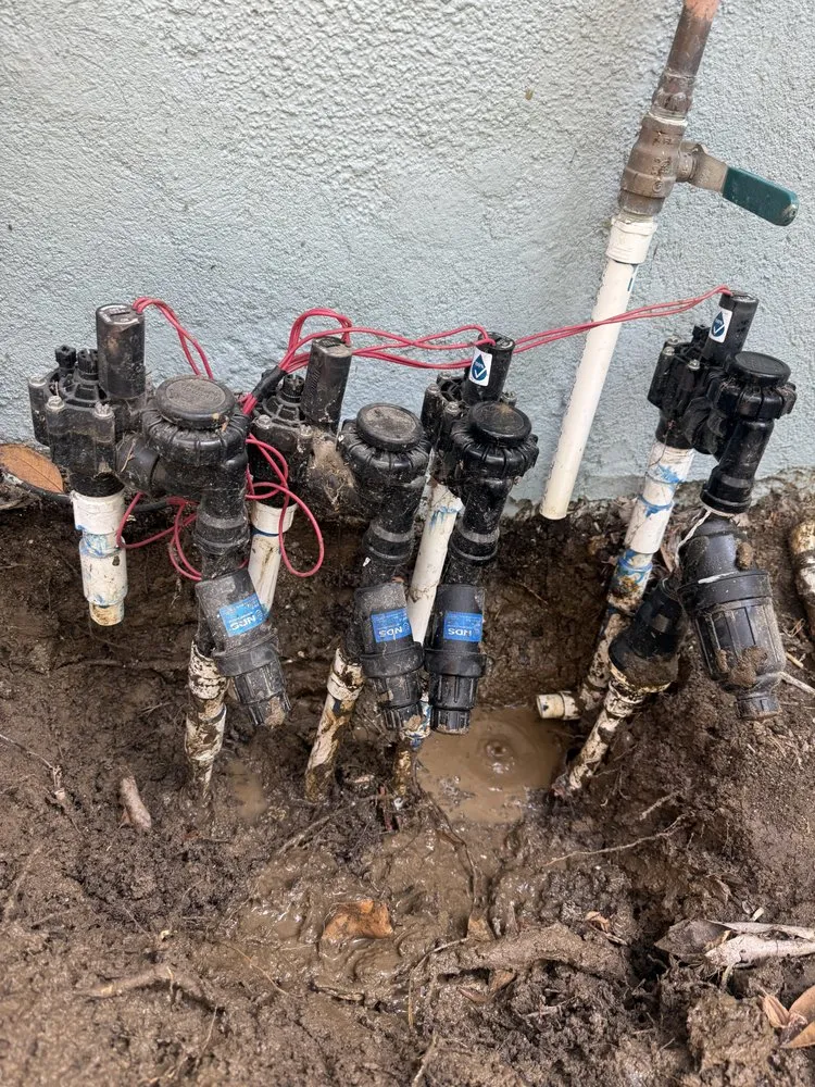 Affordable yard maintenance in Los Angeles, CA - Sprinkler Guys