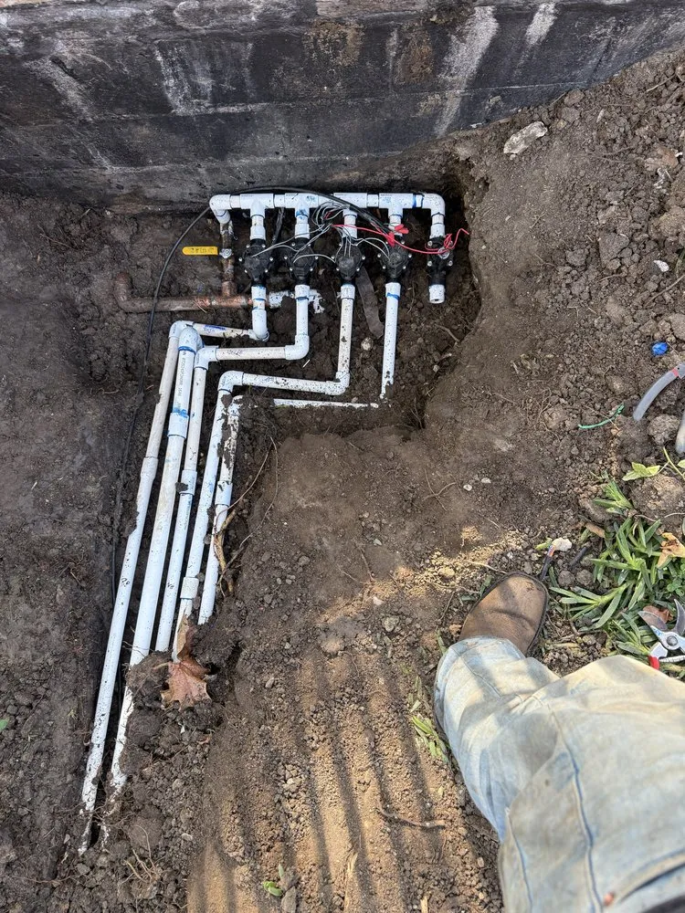 Custom landscape design in Los Angeles, CA - Sprinkler Guys