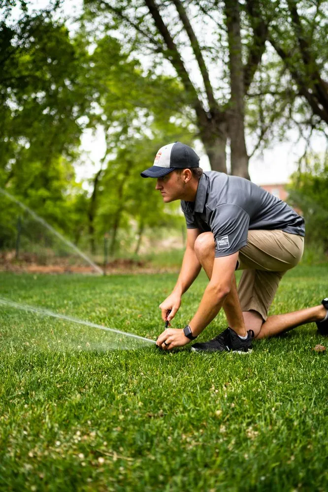 Custom garden landscaping near you across Minden, NV - Sprinkler Master - Carson City
