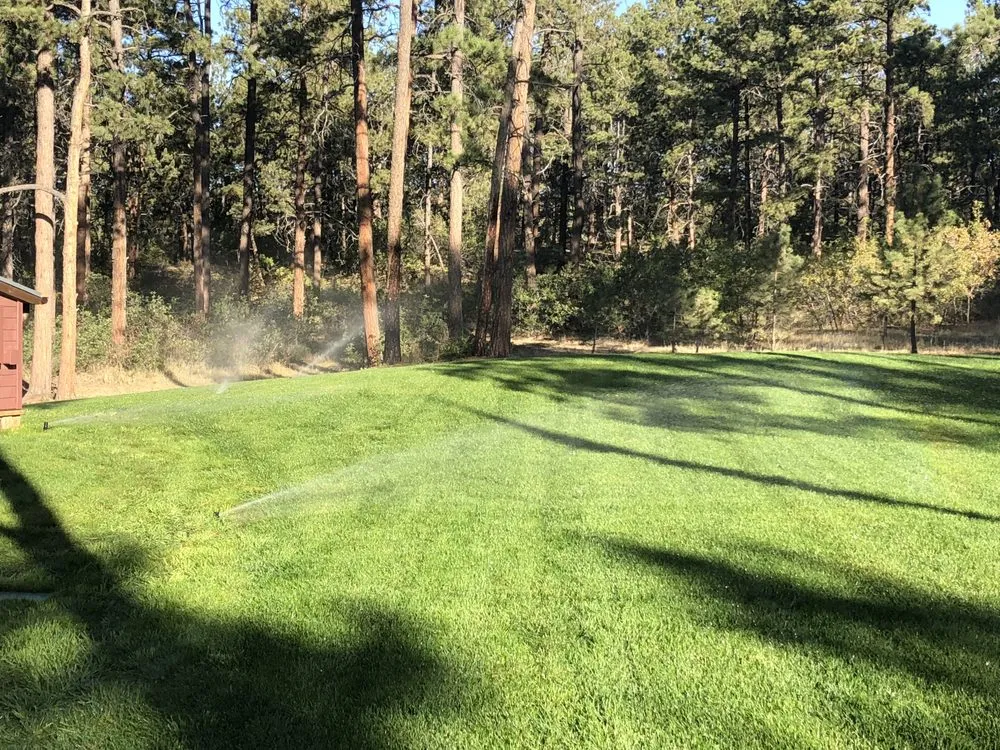 Affordable lawn care service in Colorado Springs, CO - Sprinkler Master