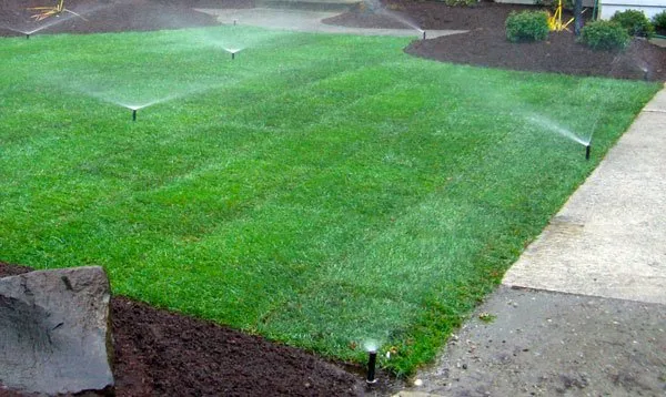 Top-rated yard maintenance in Colorado Springs, CO by Sprinkler Master