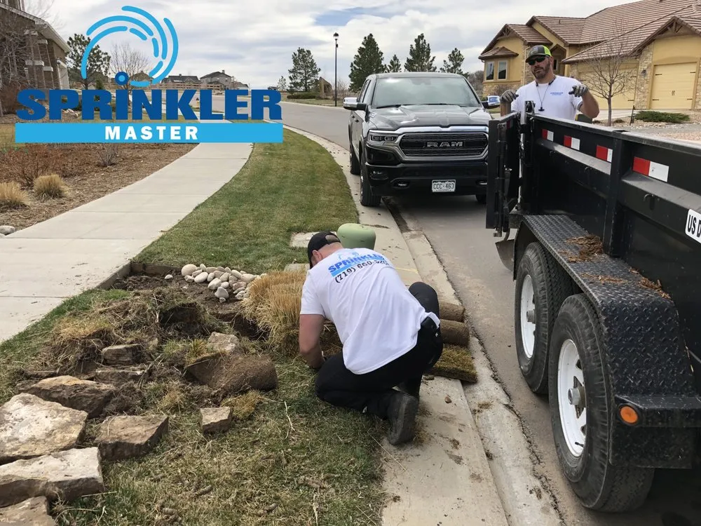 Custom yard maintenance for beautiful yards across Colorado Springs, CO - Sprinkler Master