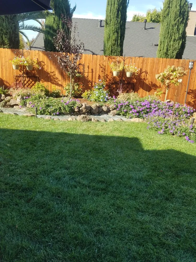 Expert residential landscaping near you across Chico, CA - Sprinkler Pro