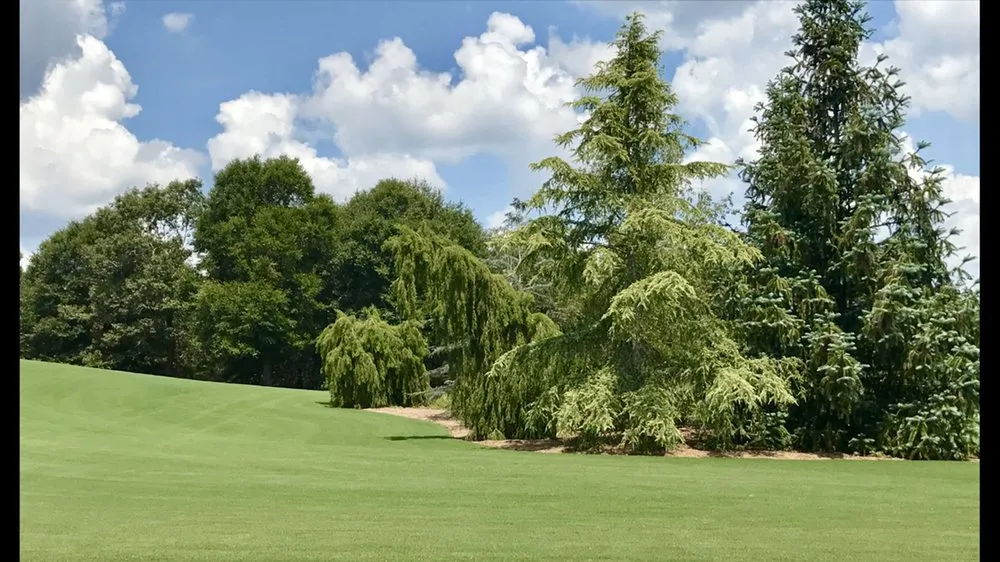 Affordable residential landscaping experts serving Miramar Beach, FL - Sprinkler Pro