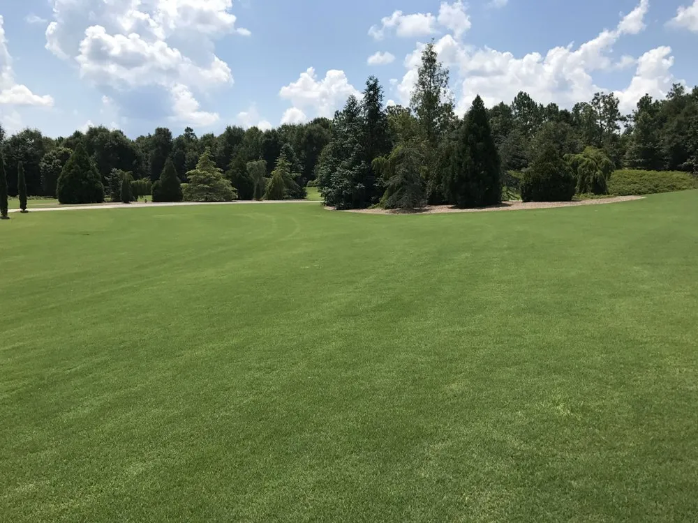 Reliable yard cleanup service for outdoor upgrades across Miramar Beach, FL - Sprinkler Pro