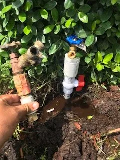 Professional lawn care service experts serving West Palm Beach, FL - Sprinkler pro