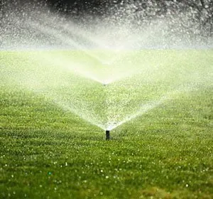 Affordable outdoor landscaping experts serving Magnolia, TX - Sprinkler Pros