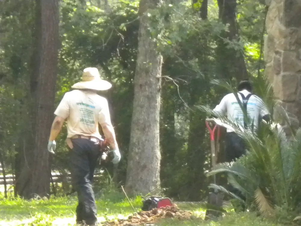 Local yard cleanup service in Magnolia, TX by Sprinkler Pros