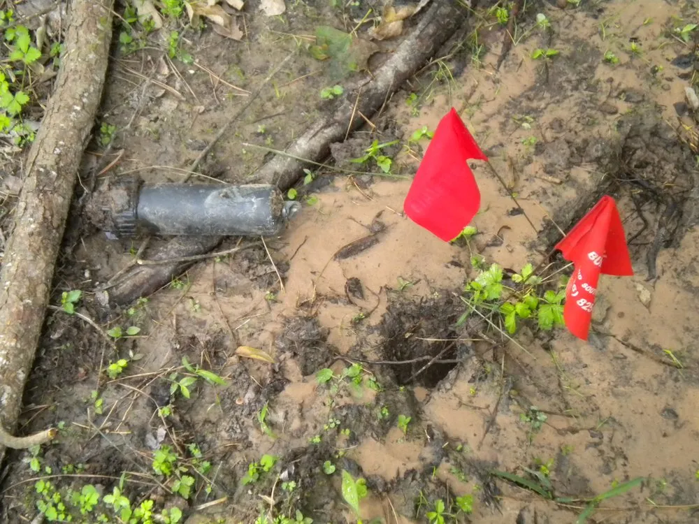 Local yard maintenance in Magnolia, TX by Sprinkler Pros