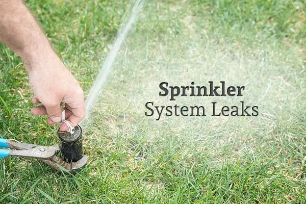 Top-rated landscaping services in Orlando, FL - Sprinkler Pros