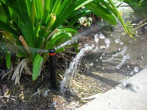 Expert yard cleanup service experts serving Orlando, FL - Sprinkler Pros