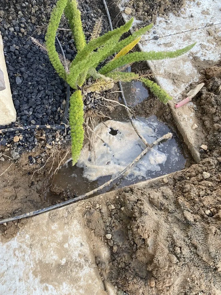 Custom residential landscaping experts serving Rancho Cucamonga, CA - Sprinkler Repair Doctor