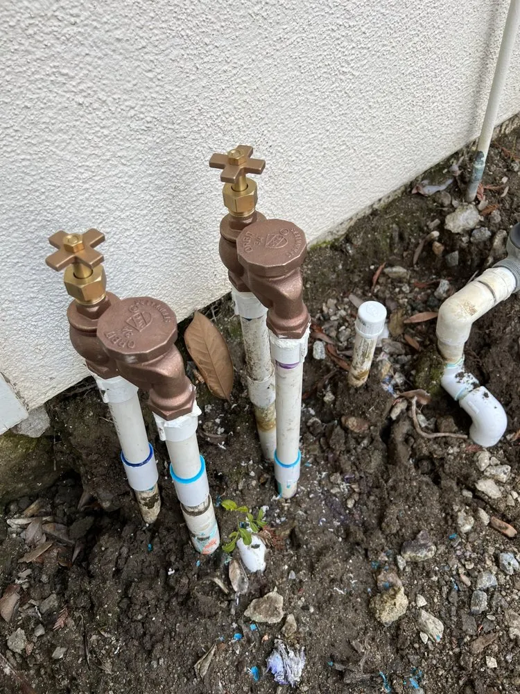 Professional yard cleanup service experts serving Rancho Cucamonga, CA - Sprinkler Repair Doctor