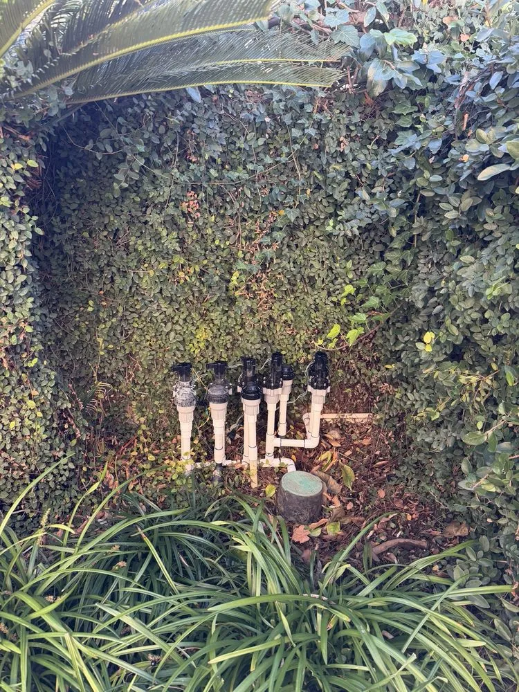 Professional lawn care service in Rancho Cucamonga, CA by Sprinkler Repair Doctor