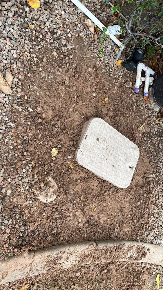 Professional yard maintenance for residential properties in Glendale, AZ by Sprinkler Repair