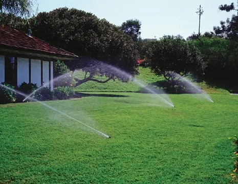 Trusted yard cleanup service experts serving Corona, CA - Sprinkler Repair Guy