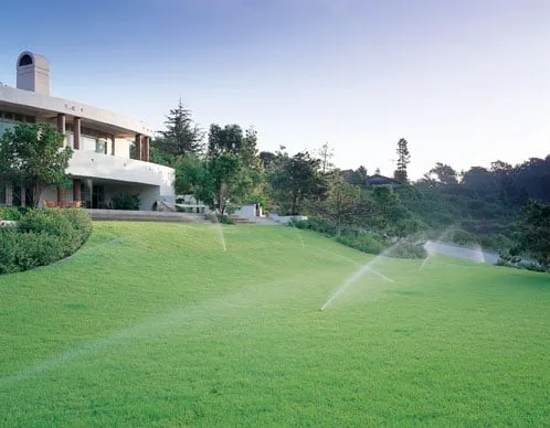 Expert garden landscaping for beautiful yards in Corona, CA by Sprinkler Repair Guy