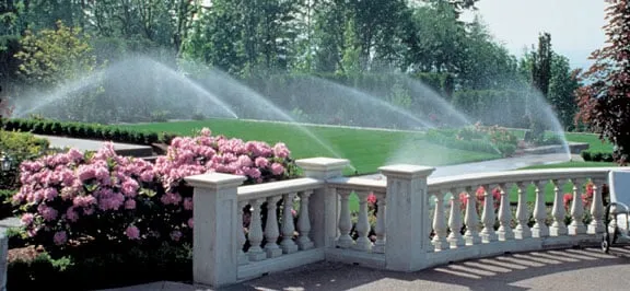Professional landscaping services in Corona, CA - Sprinkler Repair Guy