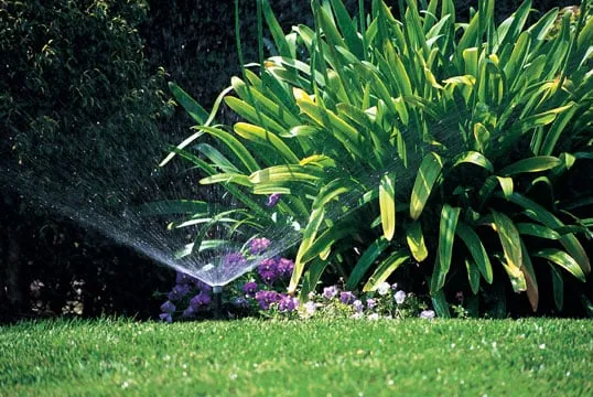 Expert lawn care service in Mission Viejo, CA by Sprinkler Repair Guy