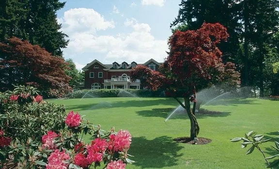 Affordable lawn care service for outdoor upgrades in Mission Viejo, CA by Sprinkler Repair Guy