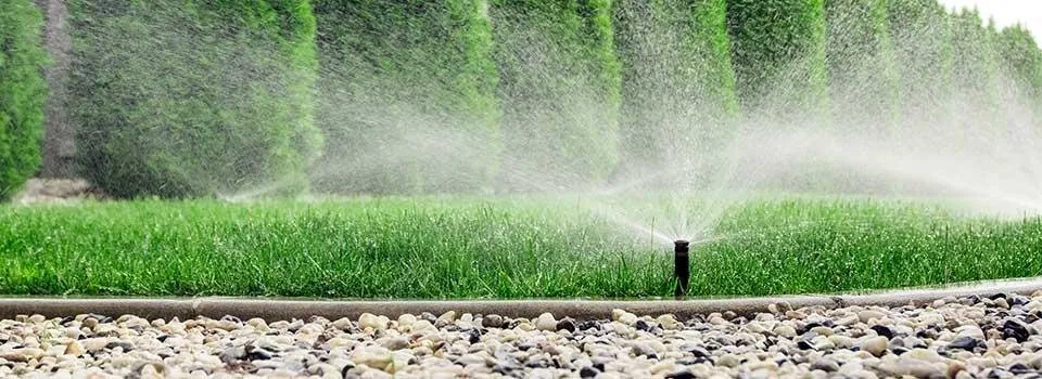 Professional yard cleanup service experts serving Austin, TX - Sprinkler Repair Pros