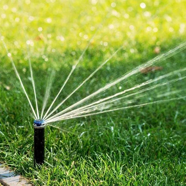 Reliable outdoor landscaping experts serving Austin, TX - Sprinkler Repair Pros
