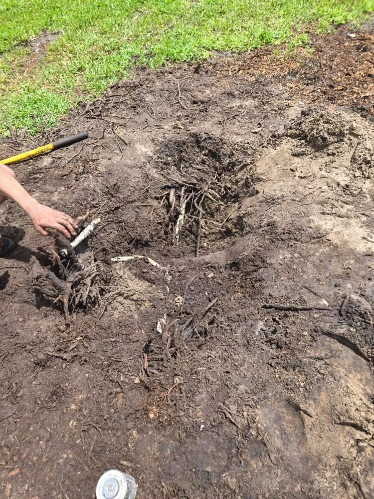 Trusted garden landscaping experts serving Daytona Beach, FL - Sprinkler Repairman