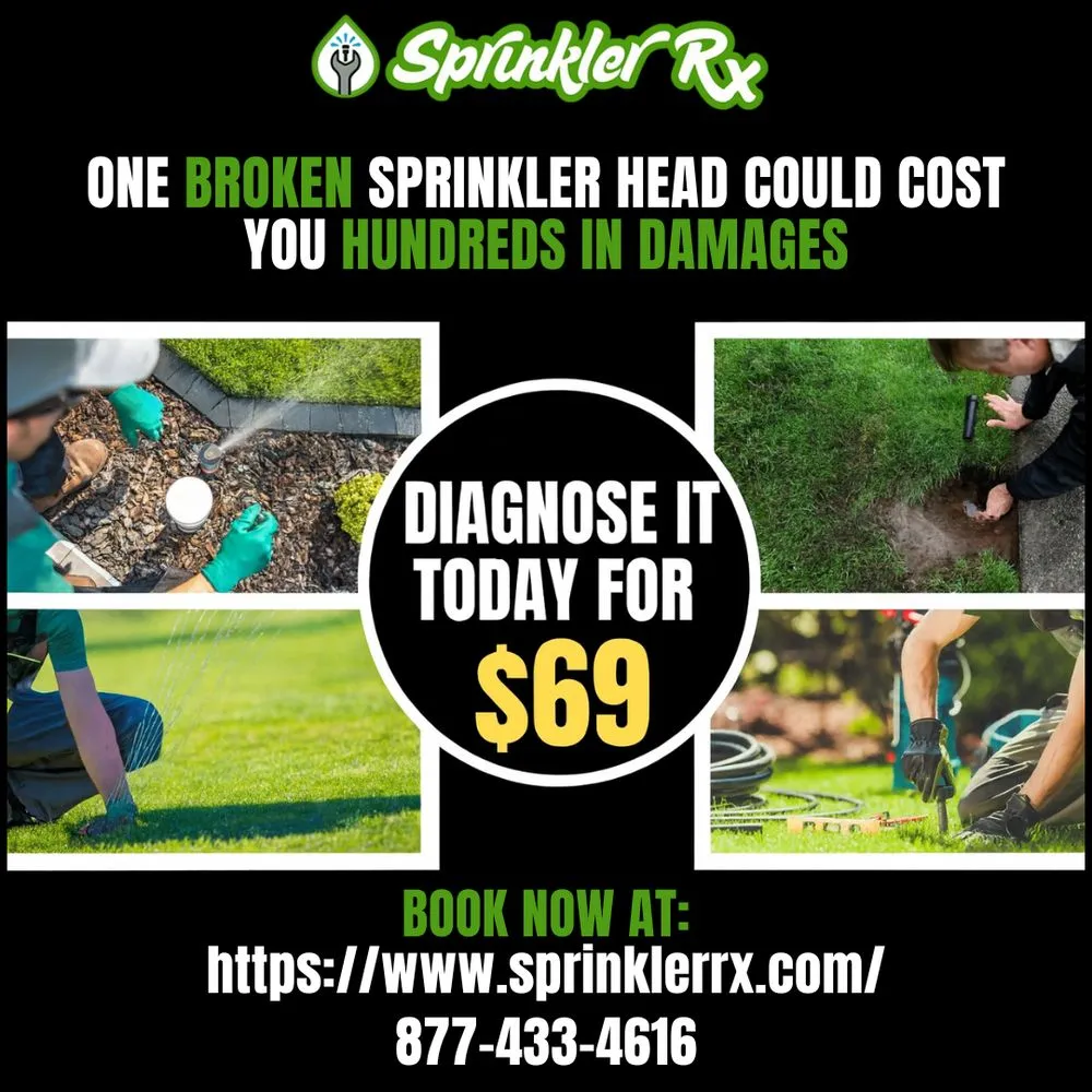 Top-rated yard maintenance in Santa Susana, CA - Sprinkler Rx