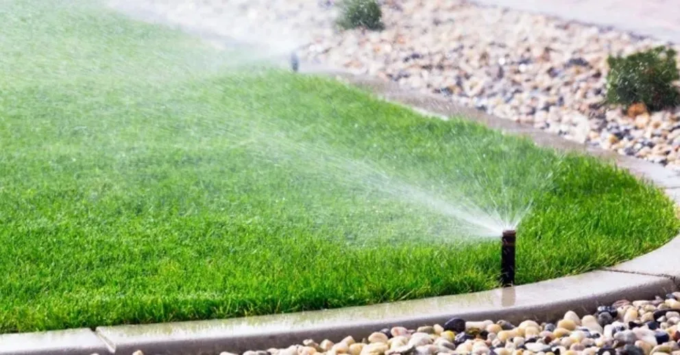 Affordable lawn mowing service in Denver, CO by Sprinkler Smart Irrigation