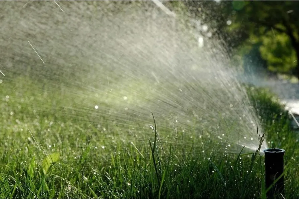 Top-rated landscape design in Denver, CO - Sprinkler Smart Irrigation