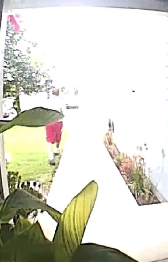 Expert yard cleanup service in Valencia, CA by Sprinkler Smart