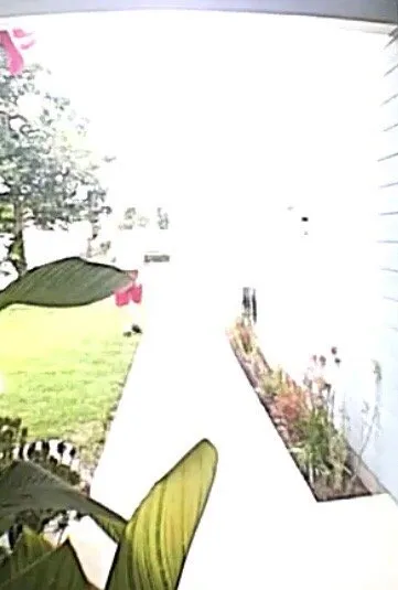 Affordable yard cleanup service for outdoor upgrades across Valencia, CA - Sprinkler Smart