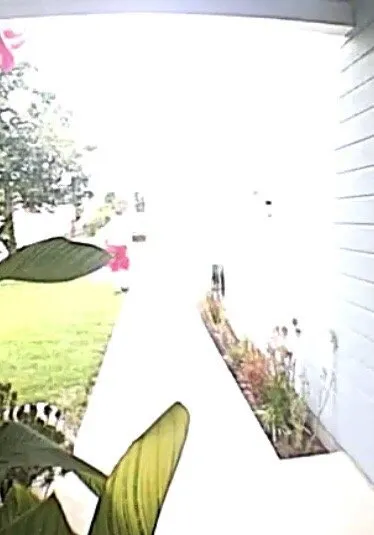 Trusted lawn care service in Valencia, CA by Sprinkler Smart