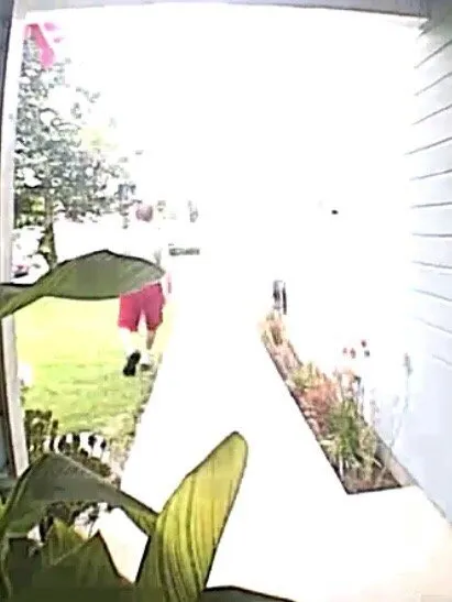 Affordable residential landscaping for year-round maintenance across Valencia, CA - Sprinkler Smart