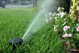 Custom landscape installation for outdoor upgrades across Olympia, WA - Sprinkler Solutions