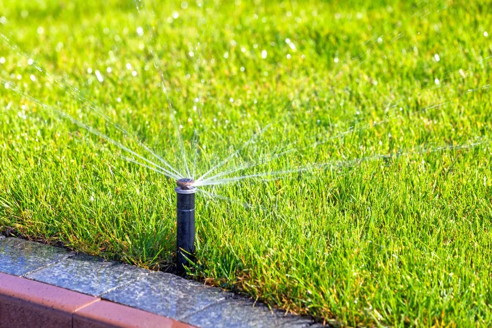 Affordable outdoor landscaping for homes in Alhambra, CA by Sprinkler Specialist